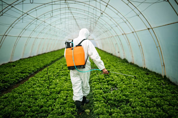 Trusted Cascade Chipita Park, CO Pest Control Experts