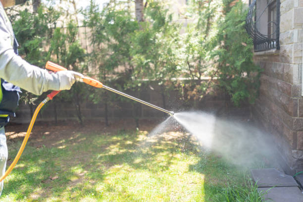 Best Mosquito Control Services  in Cascade Chipita Park, CO
