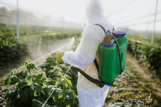 Best Local Pest Control Services  in Cascade Chipita Park, CO